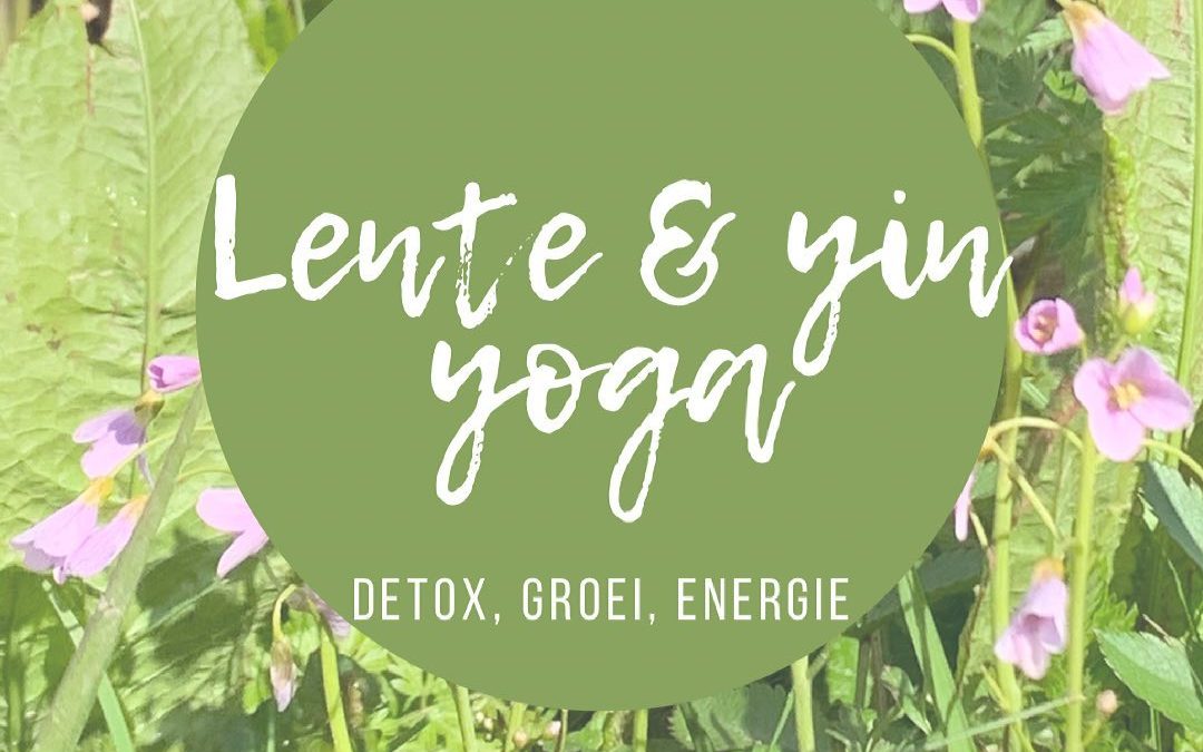 Yin Yoga en Lente